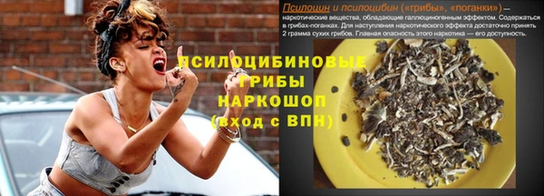 спиды Алексин