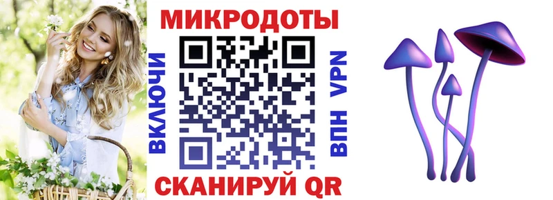 Галлюциногенные грибы ЛСД  Стародуб 